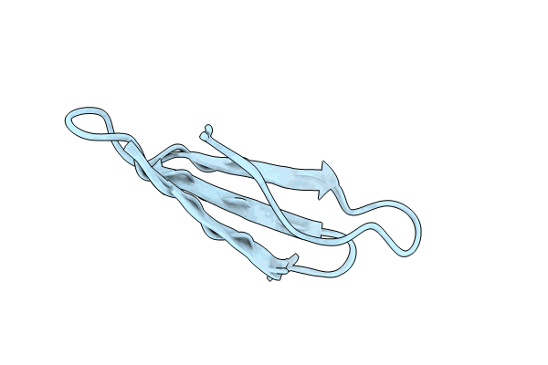 8BVC image