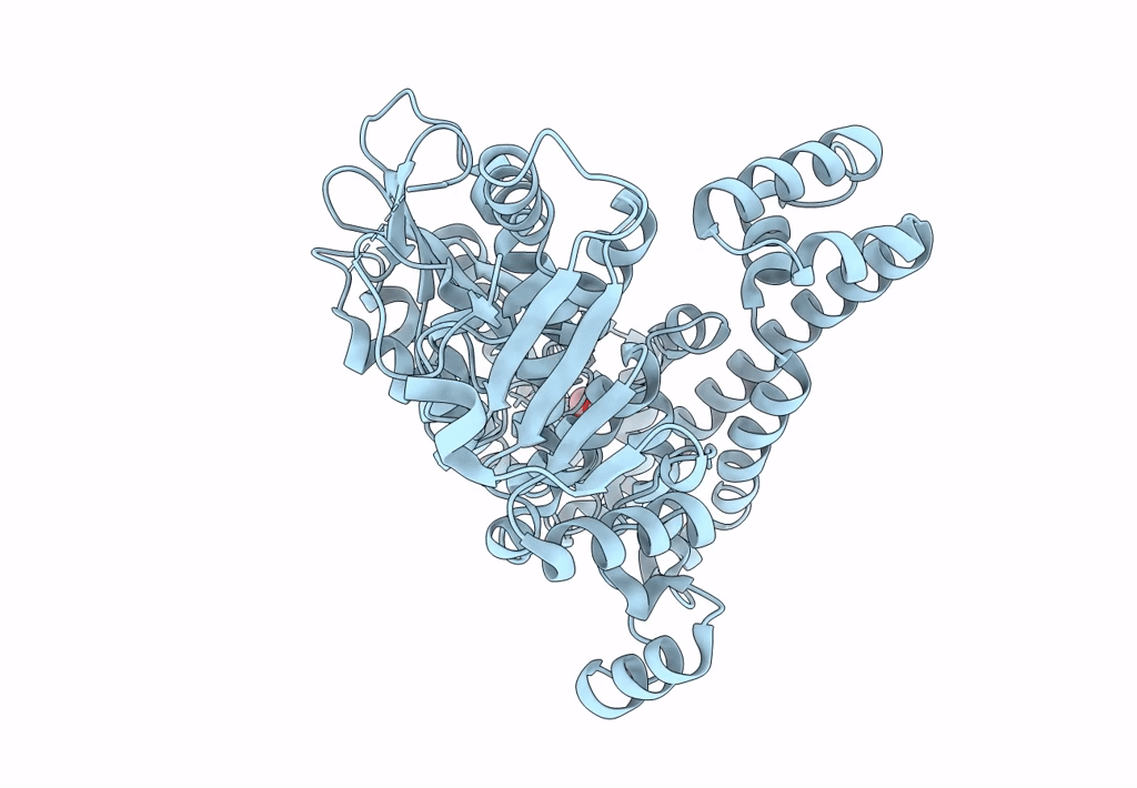 8BVP image