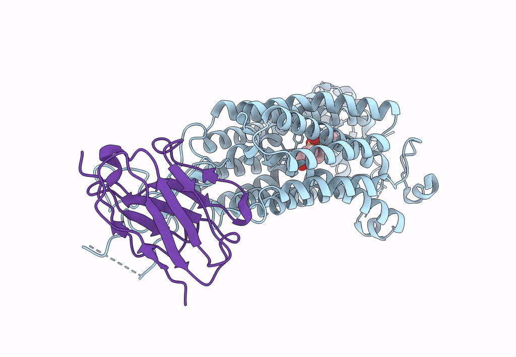 8BVT image