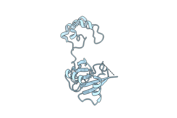 8BWI image
