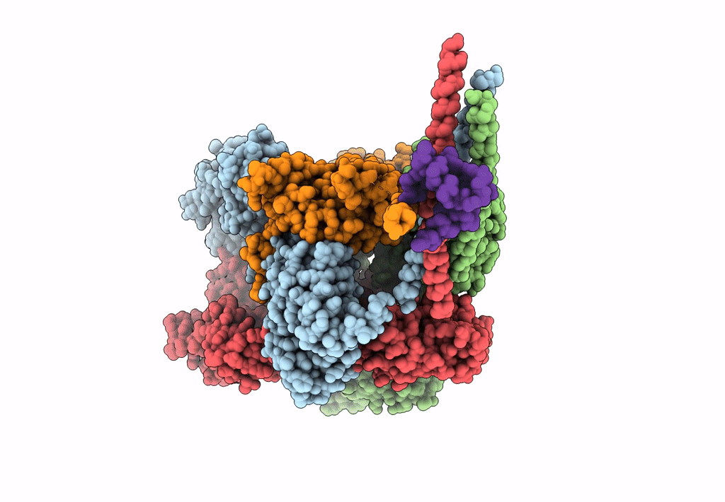 8BX7 image