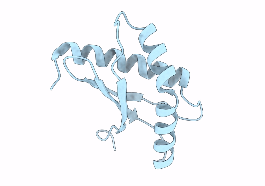 8BXA image