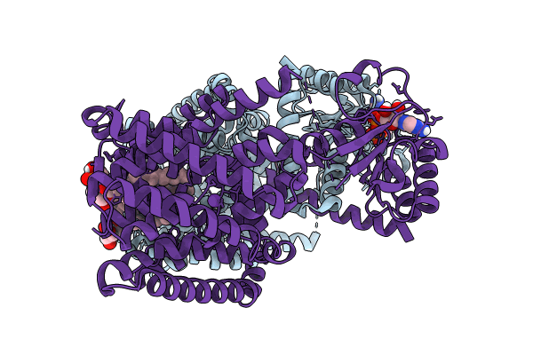 8BXG image