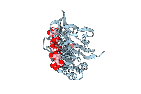 8BXZ image