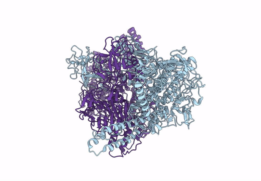 8BYP image