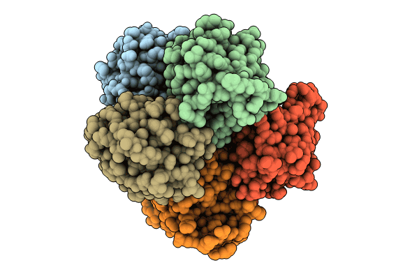 8BYR image