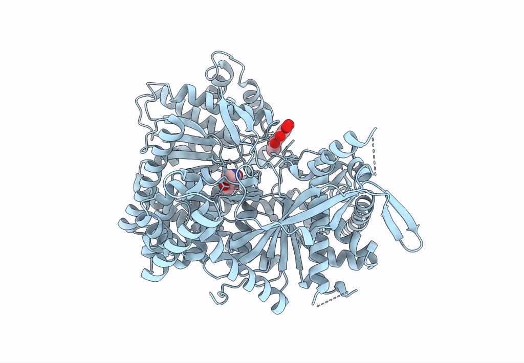 8BZS image