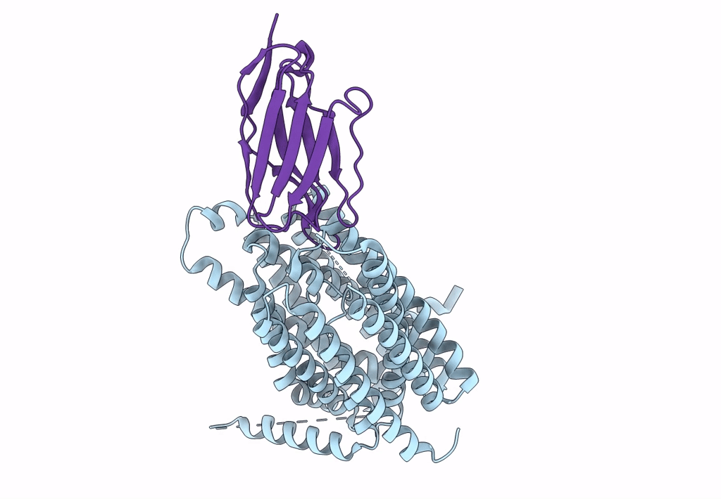 8C02 image