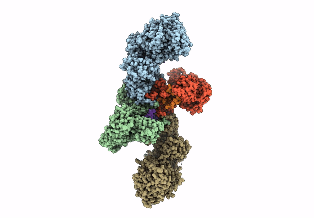8C06 image