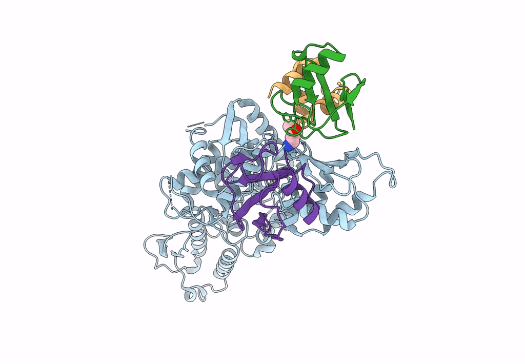 8C07 image