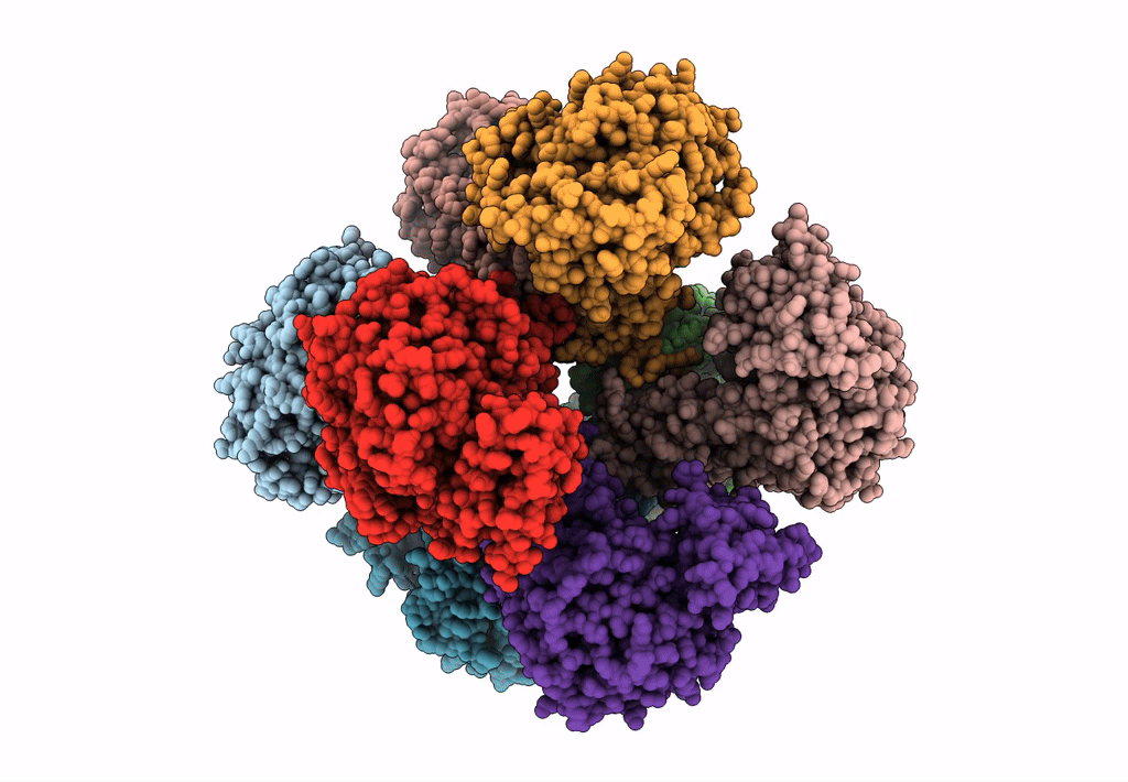 8C0B image
