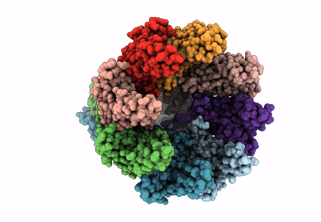 8C0E image