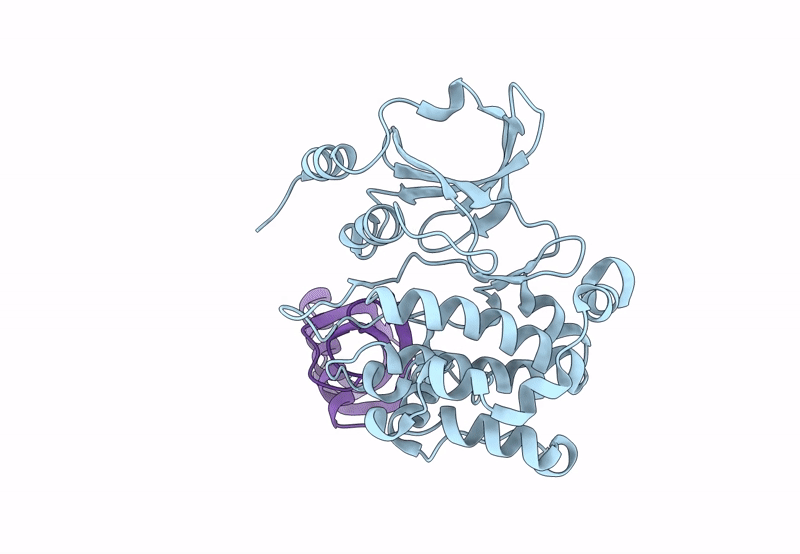 8C12 image