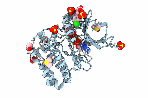 8C15 image