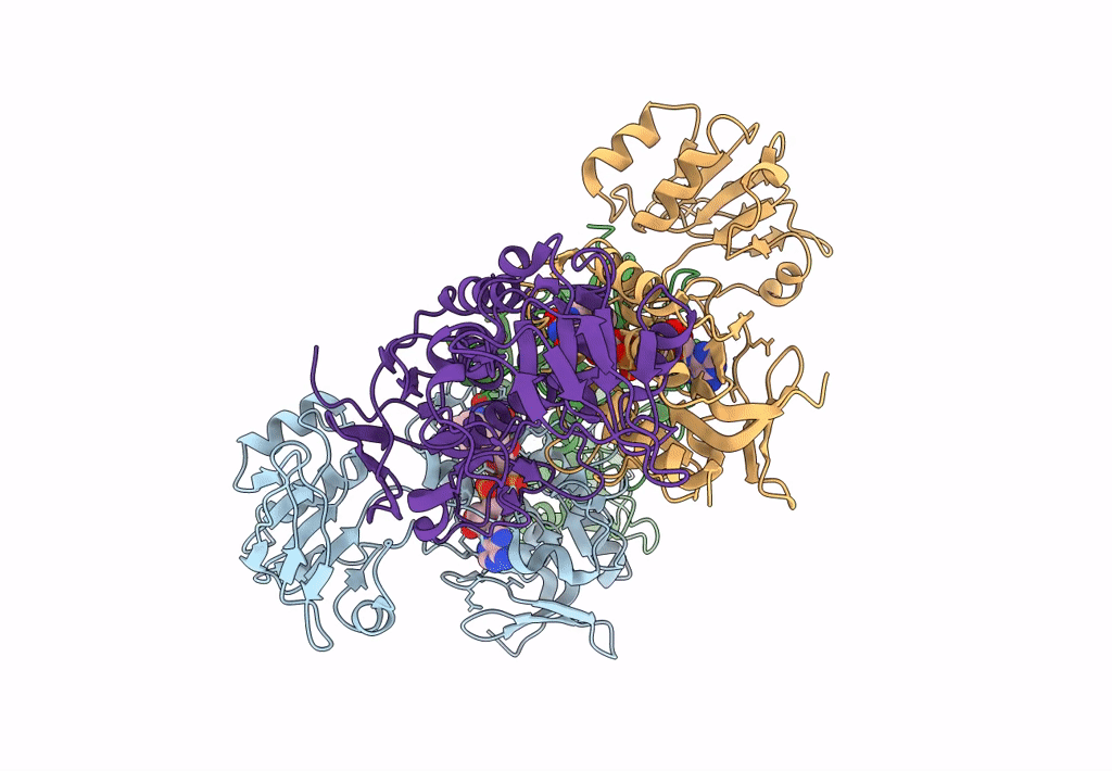 8C16 image