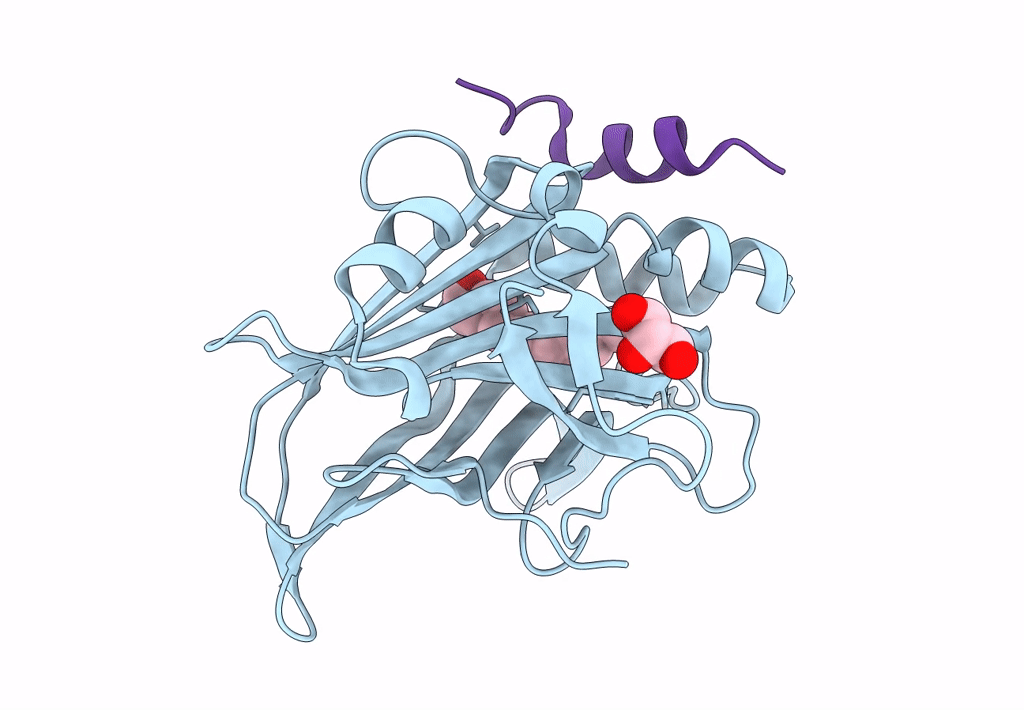 8C17 image