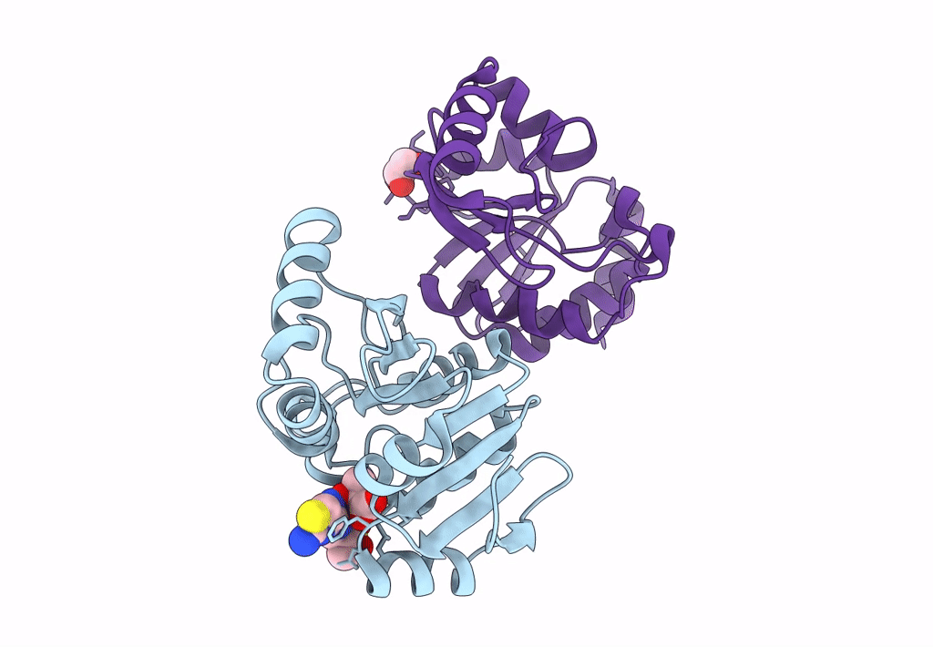 8C1A image