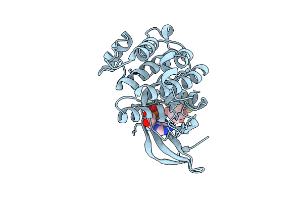 8C1M image