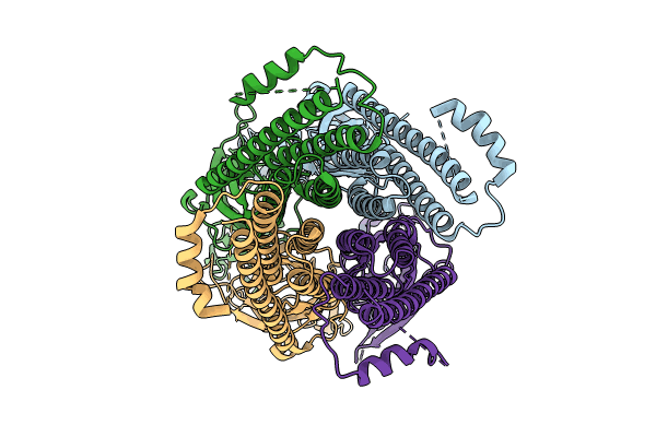 8C1W image