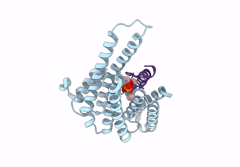 8C1Y image