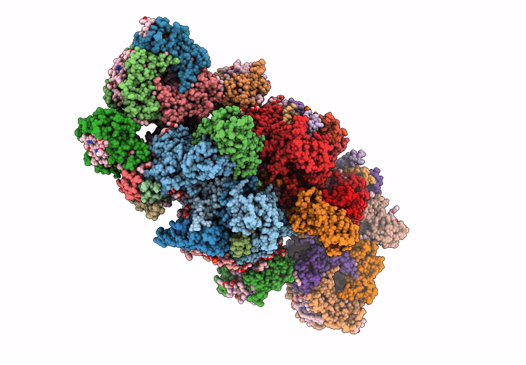 8C29 image