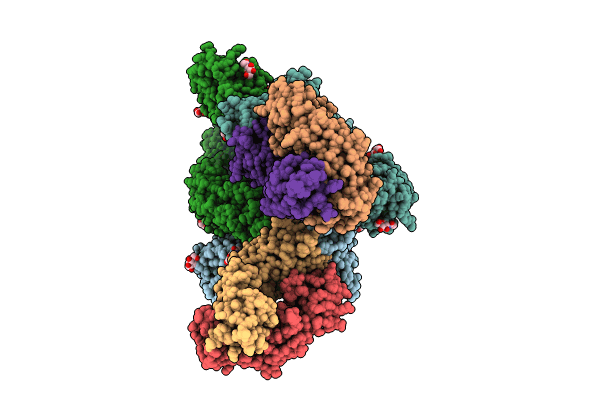 8C2R image