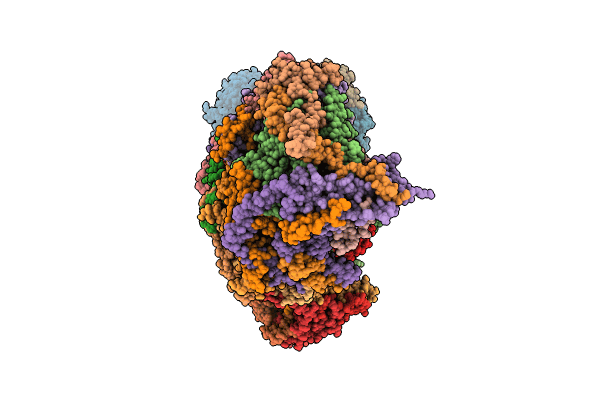 8C2S image