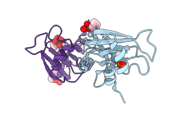 8C3B image