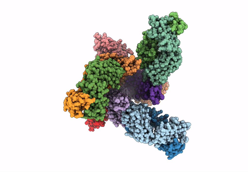8C3V image