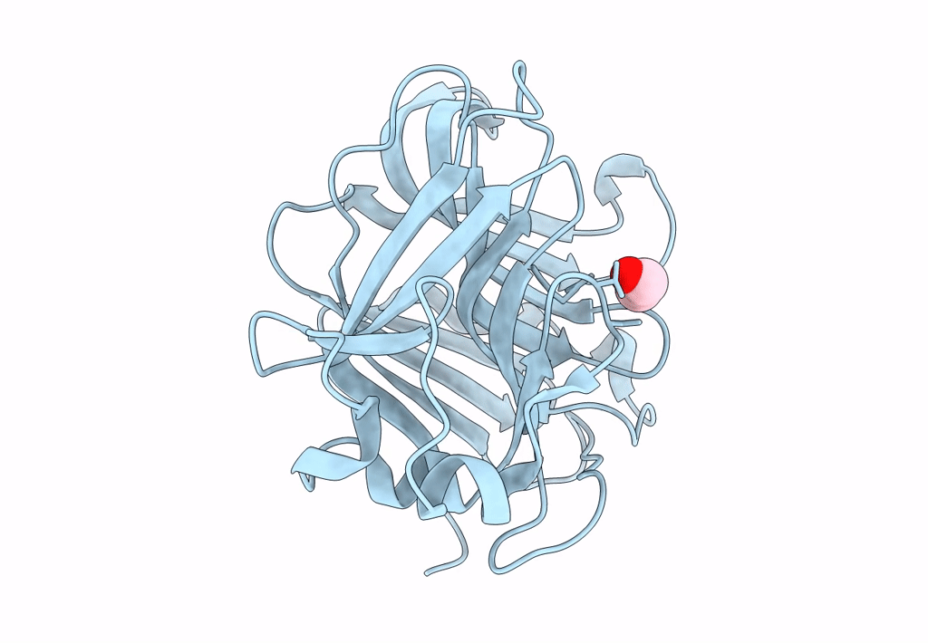 8C3X image