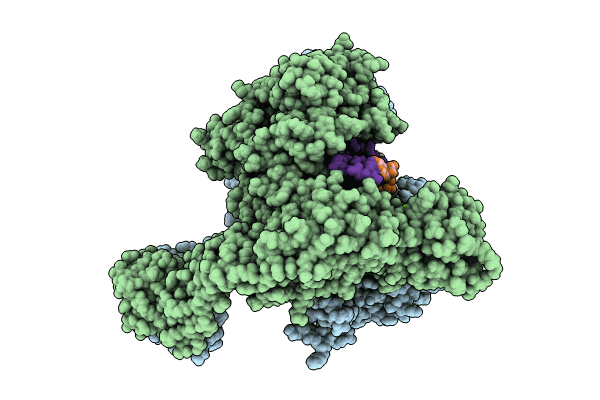 8C41 image