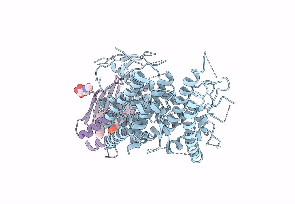 8C44 image
