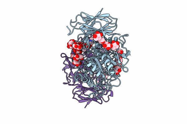 8C48 image