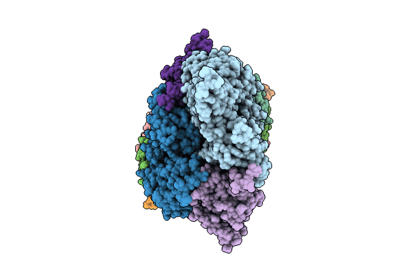8C4C image