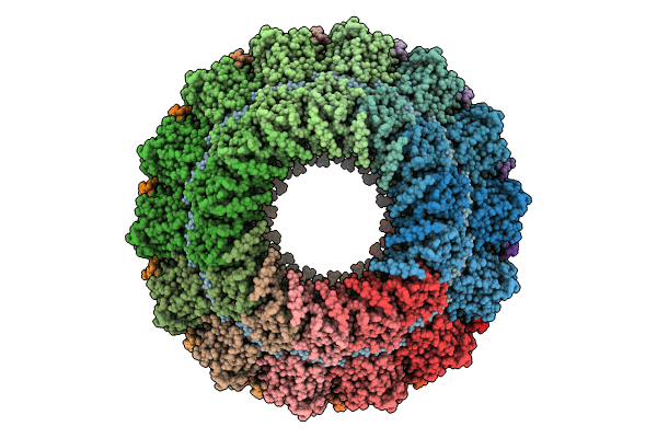 8C4H image