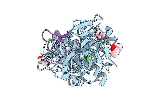 8C4X image