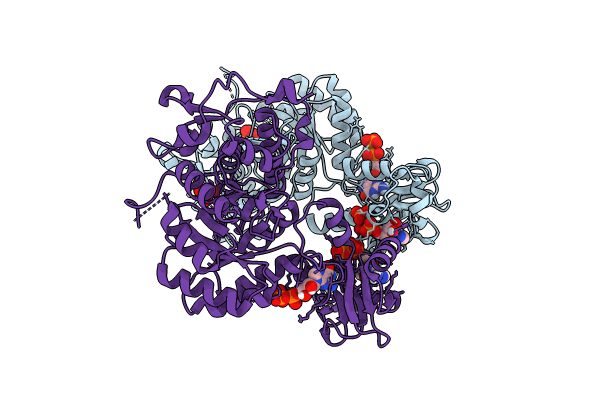8C53 image