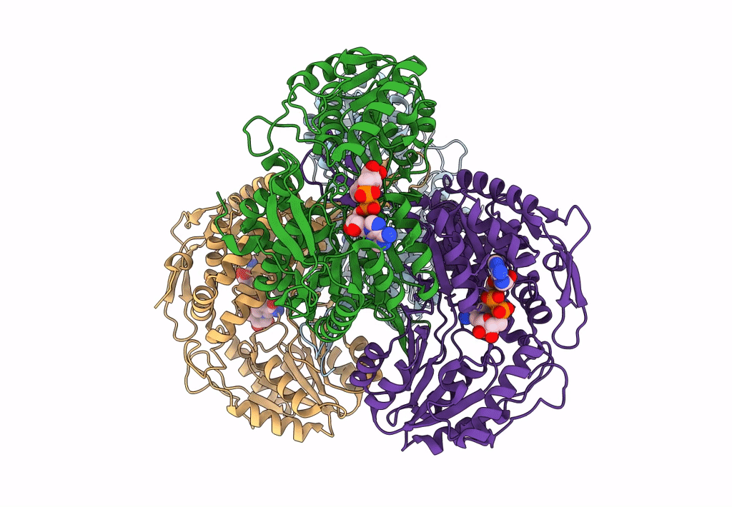 8C54 image