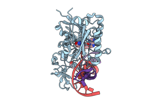 8C56 image