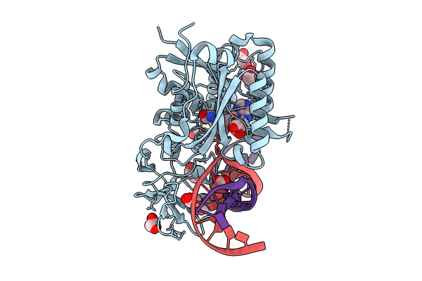 8C58 image