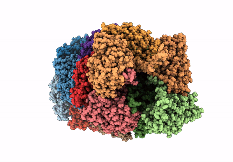 8C5I image