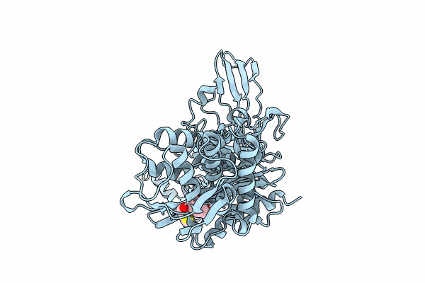 8C5O image