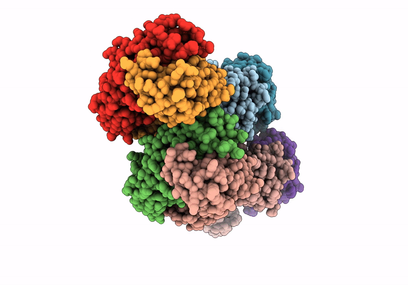 8C67 image