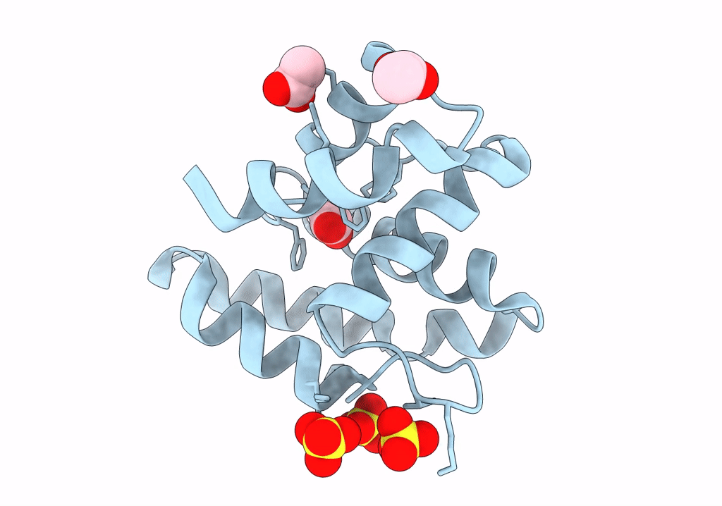 8C68 image