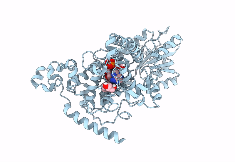 8C69 image