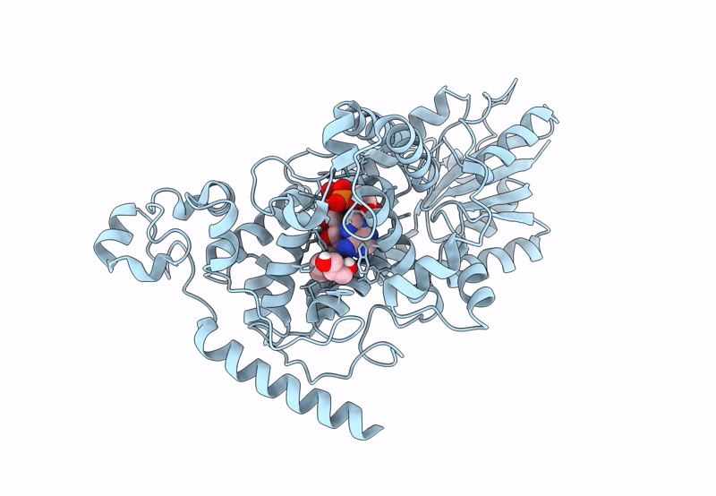8C6C image