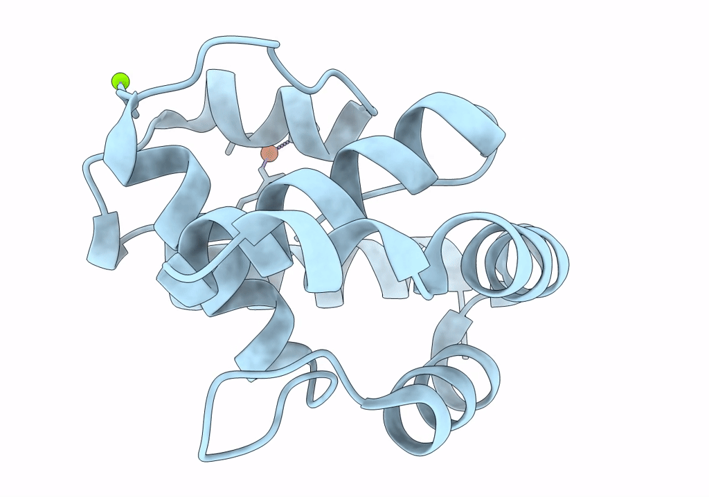 8C6E image