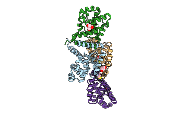 8C6V image