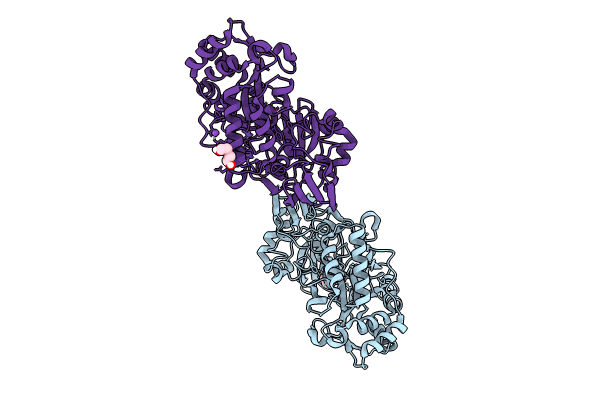 8C75 image
