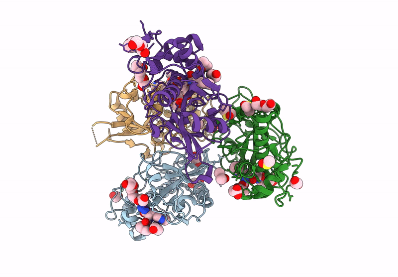 8C77 image